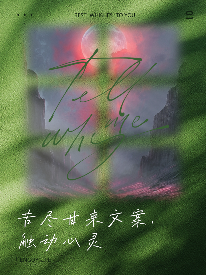 苦尽甘来，艰难险阻，终将迎来巅峰荣耀