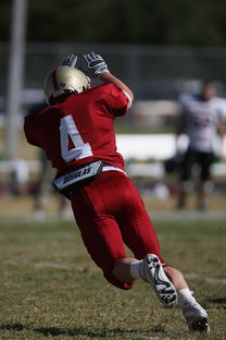 爱游戏体育娱乐-五大联赛争四阶段关键球员贡献值差异对比，五大联赛引援